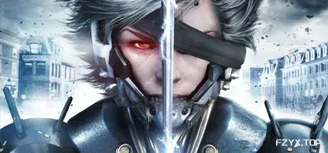 合金装备崛起：复仇/METAL GEAR RISING: REVENGEANCE-方舟游戏