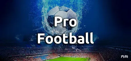 职业足球/Pro Football-方舟游戏