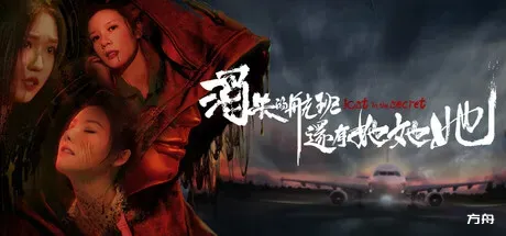 消失的航班，还有她她她！/Lost in the secret!-方舟游戏