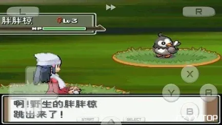 游戏图片