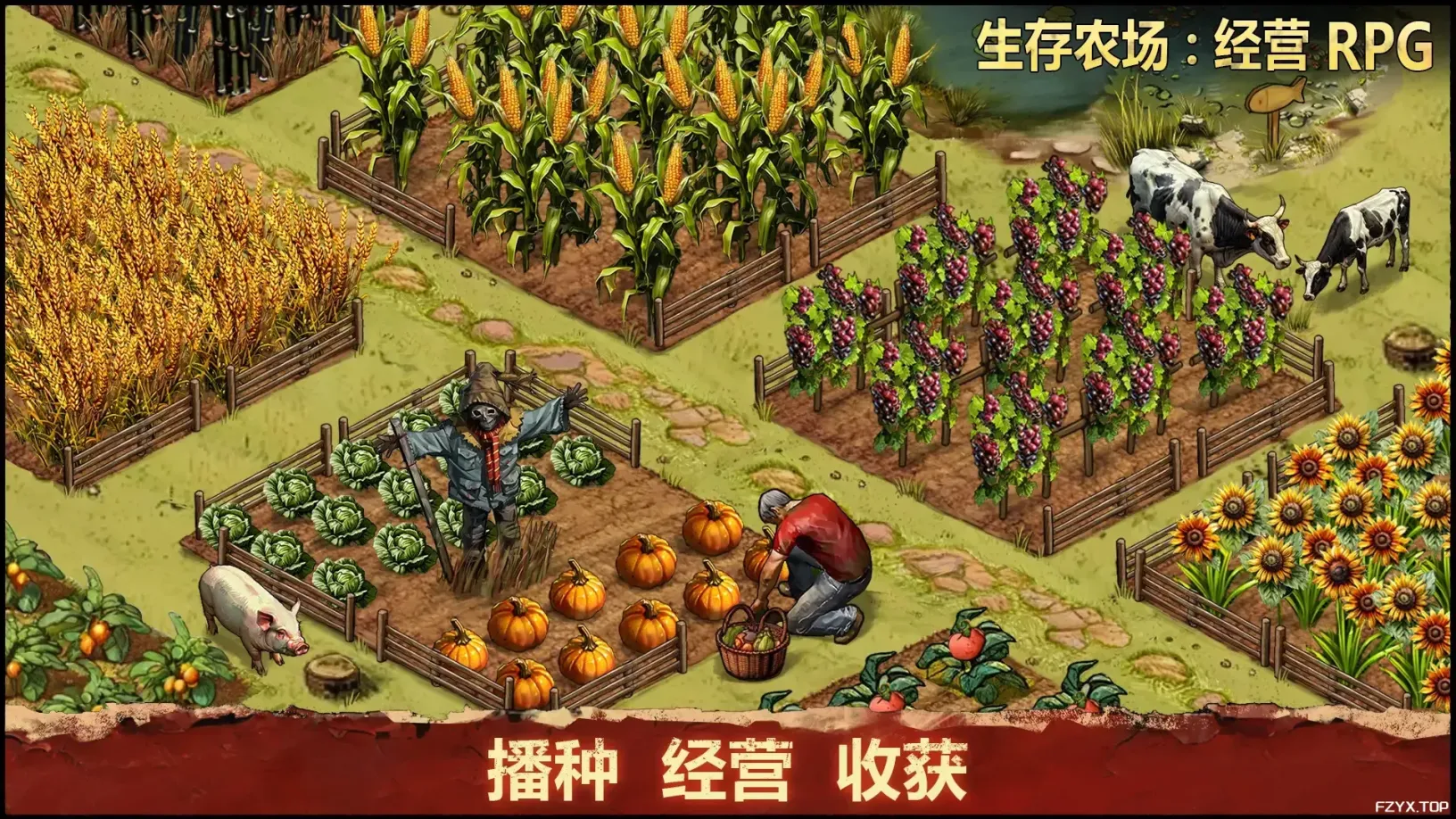 游戏图片