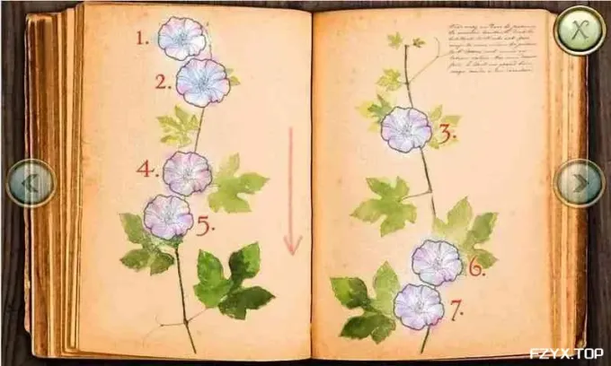 游戏图片