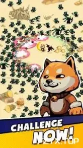 游戏图片