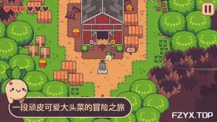 游戏图片